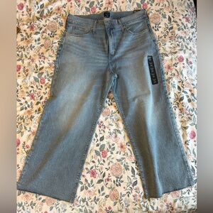 J. Crew Women’s Wide-Leg Crop All-Day Stretch NWT Size 33